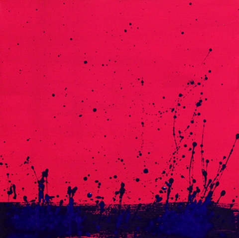 evolution/acrylic on canvas/30X30cm/2012