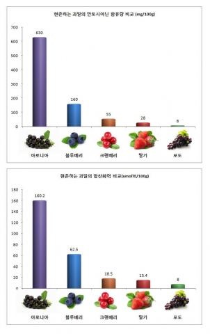 항산화식품 비교