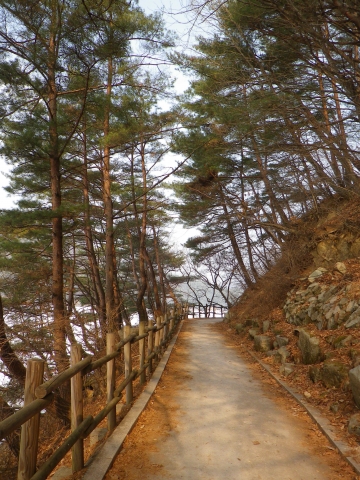 피톤치드의 숲길. 산정호수 궁예산책로