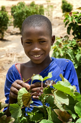 Kia pledges €1.5 million for charity shrub planting programme in Africa