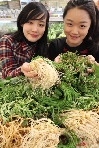 롯데마트, 입맛 살리는 봄나물 기획전 열어