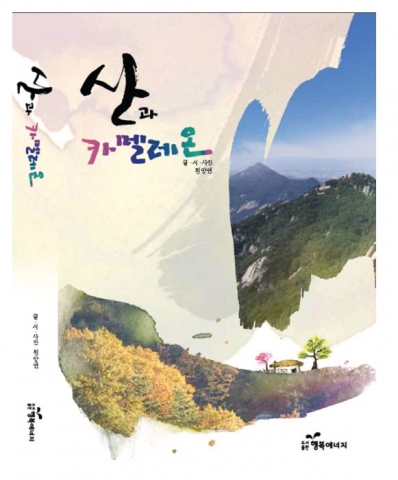 '산과 카멜레온' 표지