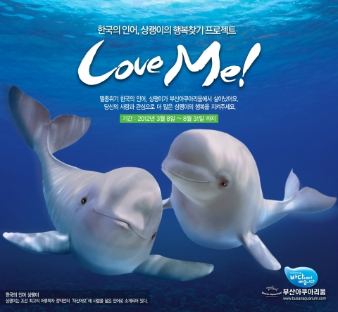 부산아쿠아리움, 한국의 인어 상괭이의 행복찾기 프로젝트 &#039;Love Me&#039; 개최