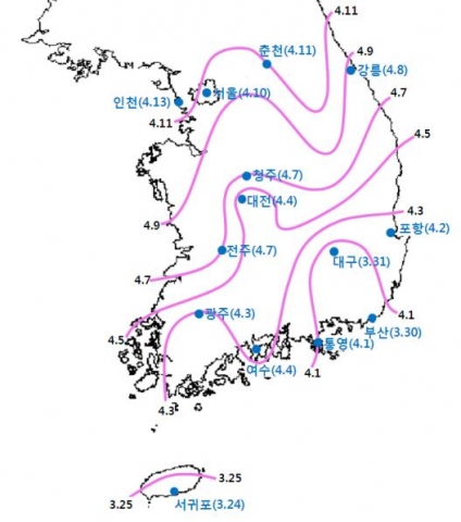 벚꽃 개화 예상시기