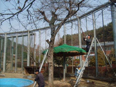 광주시 우치동물원, 봄 맞이 단장 분주