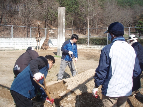 광주시 우치동물원, 봄 맞이 단장 분주