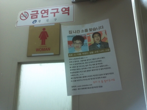 개그맨 박영진, ‘집 나간 소를 찾습니다’ 이색 전단지 등장 화제