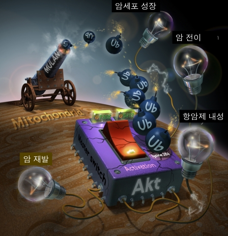 본 연구의 주요 연구 결과 그림