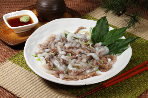 통큰낙지 산낙지