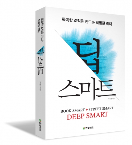 한빛비즈 딥스마트