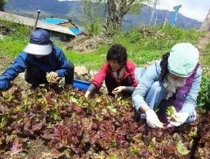 자연치유문화 생태계 구축을 위한 시민모임 ‘멋진인생클럽’ 회원 35명은 4월 21~22일 양일간 경남 하동군 악양면 상신흥마을로 자연치유마을 체험여행을 다녀왔다.