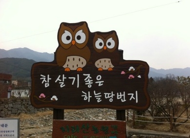 자연치유문화 생태계 구축을 위한 시민모임 ‘멋진인생클럽’ 회원 35명은 4월 21~22일 양일간 경남 하동군 악양면 상신흥마을로 자연치유마을 체험여행을 다녀왔다.