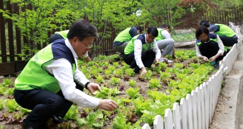 사랑나눔 봉사활동 : 이동근 대한상공회의소 상근부회장과 신입직원들이 남산원 아이들이 먹을 상추를 뜯고 있다.