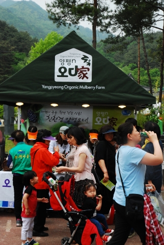 양평 산나물 한우축제