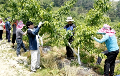 청주시 공보관(과장 나기수)은 2012. 5. 20(일) 본격적인 농번기를 맞아 청원군 남이면 석실리를 찾아가 농촌 일손돕기 봉사활동을 펼쳤다.