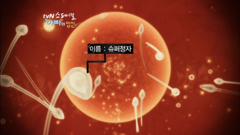 아빠의 임신