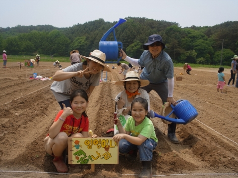 샘표 유기농 콩농장 파종식에 참여한 가족이 콩을 심으며 즐거운 시간을 보내고 있다