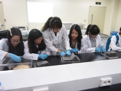 건국대는 전공체험-전공특강을 실시해 큰 호응을 얻었다. 수의학전공체험하는 고교생들의 모습.