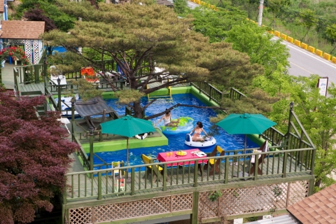 산비탈 펜션에서 기존에 운영중인 시원한 소나무 그늘아래 솔바람 수영장