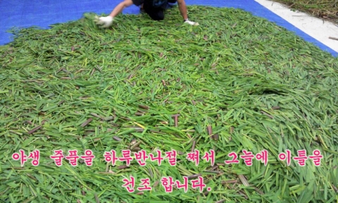 지리산 할머니 약초마을은 동의보감이나 산약초연구회 문헌 등에 소개된 야생약초, 인체에 독이 없는 순수약초만을 채취하고 손수 수작업으로 건조 판매한다.