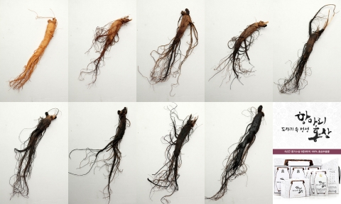 9증9포의 과정을 거쳐서 탄생하는 발효흑홍삼액 항아리홍삼
