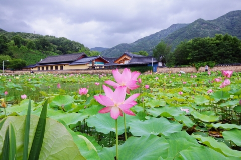 전북 완주 송광사