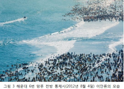 그림 3 해운대 6번 망루 전방 통제시(2012년 8월 4일) 이안류의 모습
