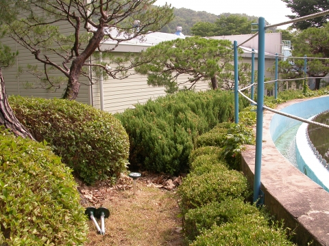 뱀퇴치기 설치사진, 용인 에버랜드(2012, 7월)