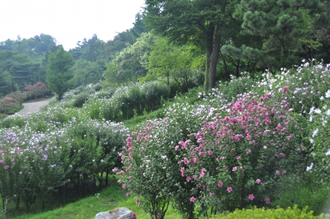 남산 야외식물원