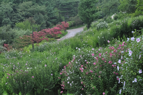 남산 야외식물원