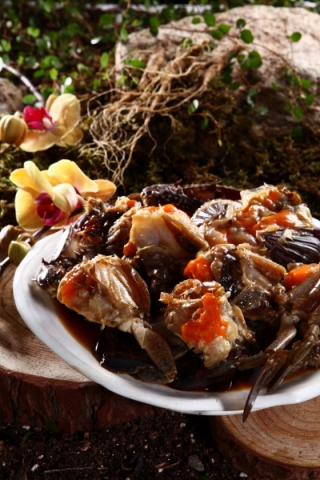 꽃게요리전문외식기업 (주)크래비언(http://crabian.com)에서 지난 12월 파주시 문발동 파주롯데프리미엄아울렛 인근에 프리미엄간장게장 전문점으로 문을 연 ‘꼿그이’에서 산양삼을 넣은 간장게장을 선보였다.