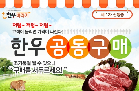 공동구매 사이트를 이용하면 시중보다 저렴하게 한우를 구매할 수 있다.