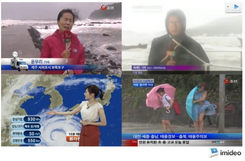 이미디오가 조사한 것에 따르면, 태풍이 몰아치는 현장 소식을 전해준 기자들의 열정적인 취재모습과 시간에 따라 북상한 태풍 볼라벤의 이동경로 뉴스, 강한 바람에 놀란 행인 여성 장면 등이 온라인 상에서 공유되며 화제가 되었다.