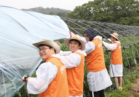 대한생명 봉사단 100여명이 4일(화) 1사1촌 자매결연마을인 아산리마을(충남 청양군 청남면)의 태풍 피해 복구를 위해 비닐하우스 수리 및 새로 지어진 비닐하우스에 재배할 모종을 