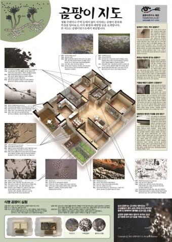 실내환경개선캠페인 &#039;곰팡이지도&#039;포스터 무료배포 행사