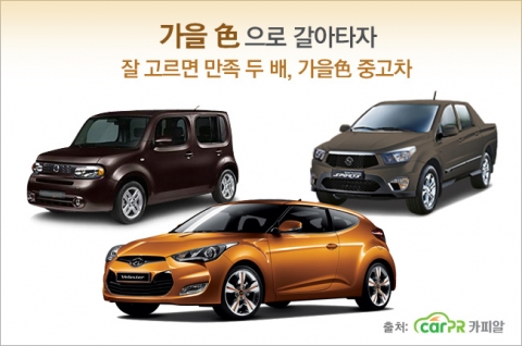 가을 色으로 갈아타자
잘 고르면 만족 두 배, 가을 色 중고차
