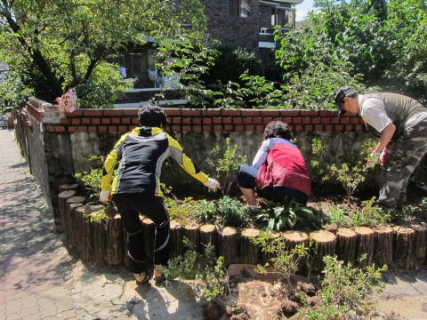 도봉구 쌍문동 꽃동네, 진짜 꽃동네 되다