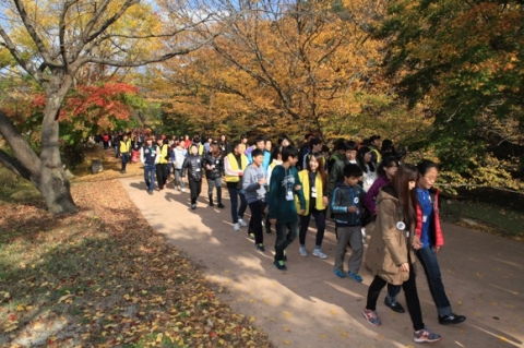 참가자와 봉사자가 짝을 이뤄 선운사 단풍길을 걸으며 가을과 자연을 만끽하고 있다