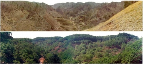 SK가 조림본격화 하기 전 1970년대 초 광덕산 모습과 2000년대에 촬영한 광덕산의 모습