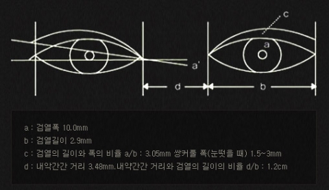 아름다운 눈의 비율 공식