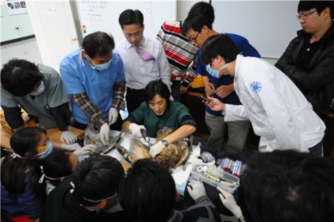 2011년 교육 장면3. Institute for Raptor Biomedicine Japan Dr. Keisuke Saito의 정형외과 수술과 술후 관리 및 수혈 강의