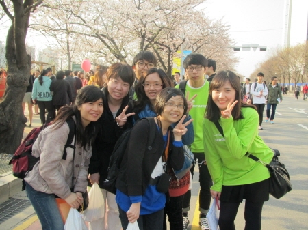 &#039;한강 꽃 축제 봄 마실 가자!&#039; 행사사진 (4/14)