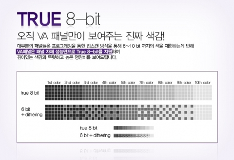 VA패널의 특장점인 True 8 BIT 기술 소개