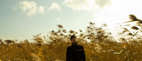 서천 신성리갈대밭