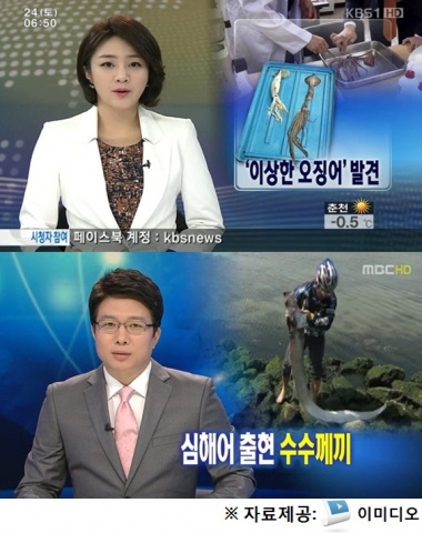 멀티미디어 검색 전문 기업 ㈜엔써즈(www.enswersinc.com)는 온라인에서 방송 캡쳐 장면만으로 해당 프로그램을 바로 시청할 수 있는 ‘이미디오’로 네티즌이 주목한 방송 