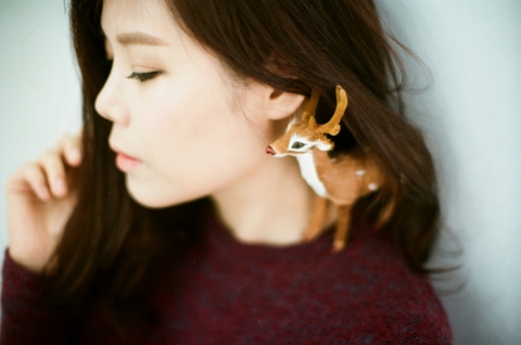 린 사진