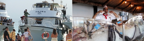Red Sea Activities