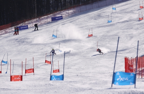 2013 알펜시아 피셔 챔피언십 스키 대회 - 듀얼 레이싱