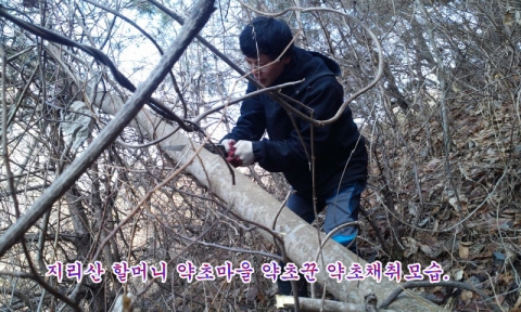 지리산 할머니 약초마을은 약용식물 관리사 자격을 갖추고 지리산에서 자생하는 야생 산약초, 희귀약초 만을 전문으로 채취 판매한다. 지리산 할머니 약초마을에서 취급하는 약초는 그 양이 많지 않아 도매나 소매는 엄두도 못내고 인터넷 회원에게만 소량씩 판매한다.
