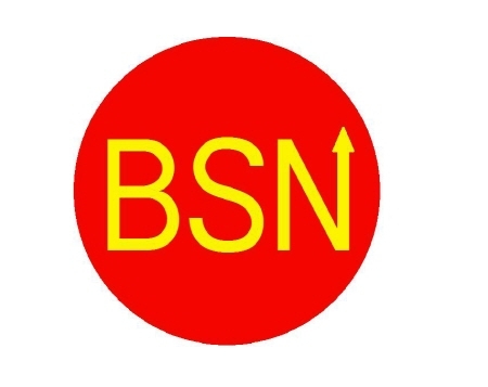 BSN 인베스트먼트